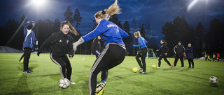 Dörren på glänt för idrottsgymnasium