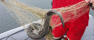 Illegalt fiske skadar för oss alla 