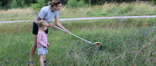 Här kan barnen komma djur och natur nära