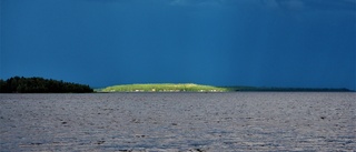 Läsarbilden: Sommarminnen     