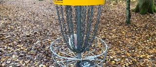 Discgolfbana anläggs i Edsbruk