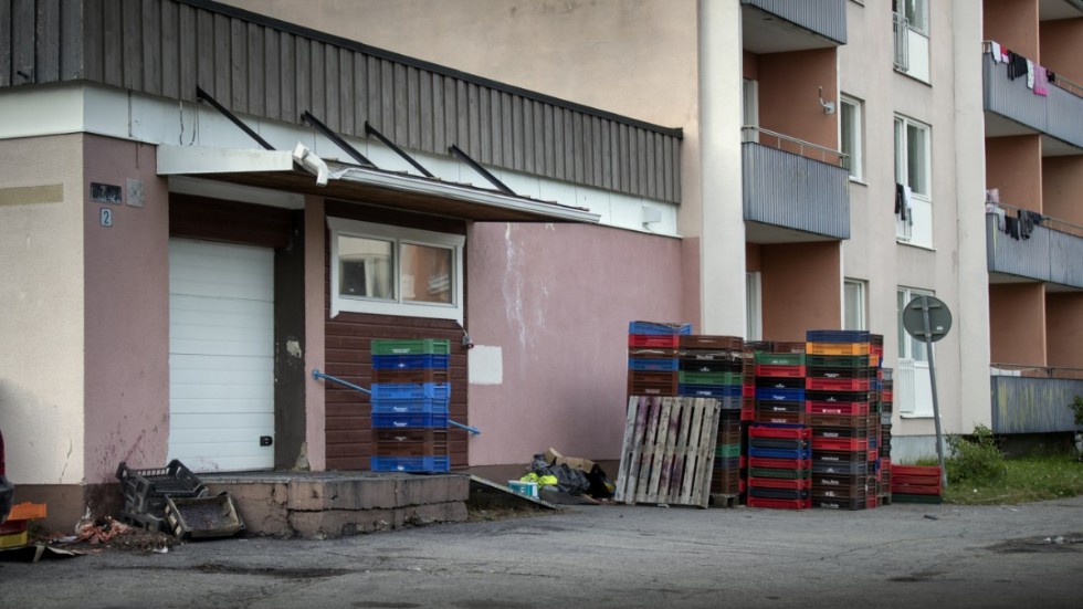 Vid 17-tiden på torsdagskvällen hade bäruppköpningen stängt. En lastbil från Finland hade hämtat bären som de boende i torghusen plockat.