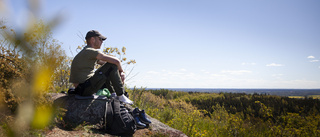 Ska locka turister med östgötska skogarna