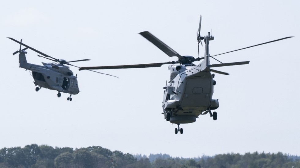 Helikoptrar stressade minkar på en farm så att cirka 4|500 ungar bets ihjäl. Nu får farmen 770|000 kronor i ersättning från Försvarsmakten. Arkivbild.