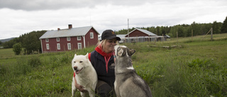 Med stor passion för hundspannsåkning