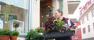 Grönt sug och konkurser – därför är det ont om blommor