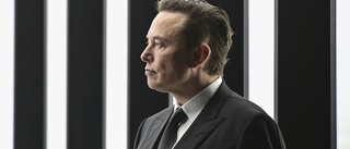 "Även Musk tyckte nog att det blev för dyrt"