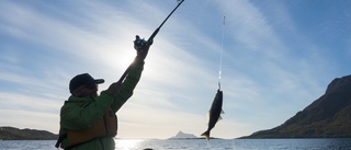 Miljontals fiskeredskap försvinner ner i havet