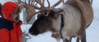 Läsarbilden: Möte med Rudolf  