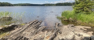 Vacker men vildvuxen ö i Finspång blir naturreservat