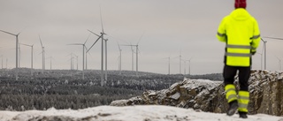 Vindkraftsbolag vill skjuta på Markbygdens sista etapp