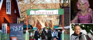 Här är Eskilstunas julmarknader: ✓Inträde ✓Besök av Babsan ✓Bjuder på karaoke ✓Hit kommer tomten