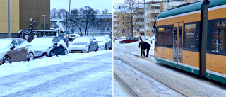 Snön ställde till med stora trafikproblem