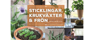 Sticklingar, krukväxter & frön – inne och ute 