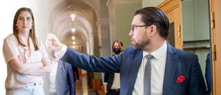 "Hur mycket tid lägger Åkesson på att jävlas med andra människor"