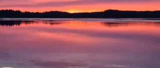 Läsarbild: Solnedgång över Porsnäsfjärden