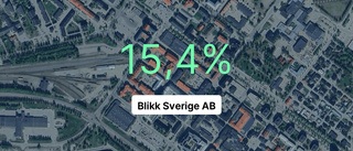 Såg gick det för Blikk Sverige AB i fjol