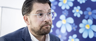 SD drar ifrån M i ny undersökning