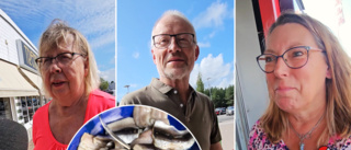 Äta eller ej – så tänker Luleåborna om rött ljus för surströmming