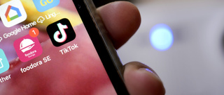 Tiktok knycker barndom bit för bit