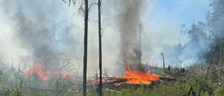 Nu är det extremt stor brandrisk