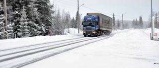 "Ingen nollvision för Skaulo"