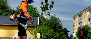 Tusen tonåringar kan få jobb i sommar