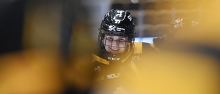 SDHL-meriterade forwarden återvänder till AIK