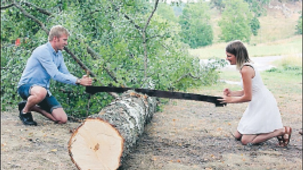 På frågan om det blivande brudparet kommer dra jämnt i äktenskapet blev svaret ja. John-William Momark och Hilma Larsson lyckades alldeles förträffligt med att såga av björken.