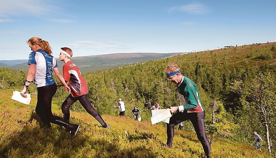 2019 kommer O-Ringen tillbaka till Norrköpings skogar. Foto: O-Ringen