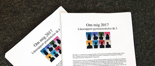 Ungdomar vill ha hjälp från vuxna