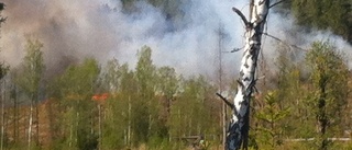 BLÅLJUS: Skogsbrand härjar – och växer i omfång