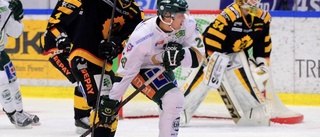 SHL-forward är klar för Hästen