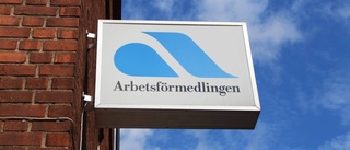 Arbetsförmedlingen ser ljust på framtiden