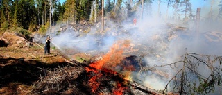 Då är det fritt fram att elda igen