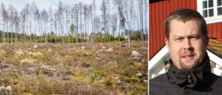 Så bidrar skogarna bäst till klimatomställlnigen