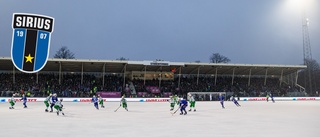 Bandyns domedag i Uppsala närmar sig