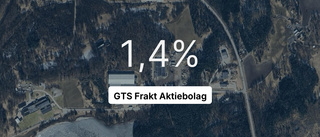 Inget företag i branschen hade större omsättning än GTS Frakt Aktiebolag