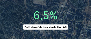 Intäkterna fortsätter växa för Delikatessfabriken Norrbotten AB