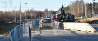 Torsgatan byggs om: Känsligaste perioden för köer