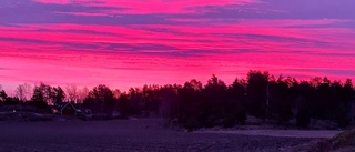 Därför kan vi just nu inte erbjuda familjedaghem på Vikbolandet