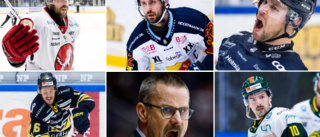 Stor genomgång: Läget i Hockeyallsvenskan just nu – lag för lag