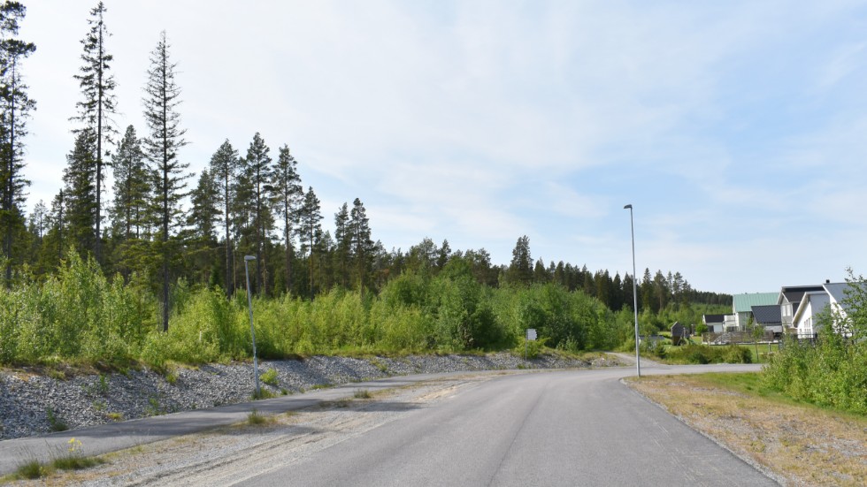 Nya gator byggs succesivt i Skellefteå. Moderaterna föreslog att de kan ha namn som kopplar till Kungahuset.