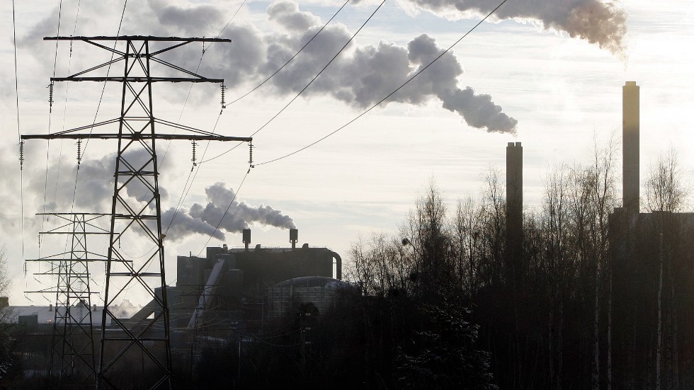 Vår industri gynnas av höga klimatambitioner, skriver skribenten.