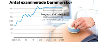 Utredning: Ingen brist på barnmorskor i Sverige