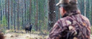 Bodenföretag nominerat till Stora Turismpriset