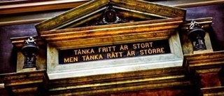 "Devisen tål att tänkas på"