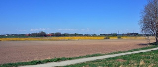 Gör naturreservat av Stabbyfälten