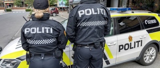 Låt norska poliser bevaka trafiken