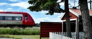 Positiv förändring i Gamla Uppsala